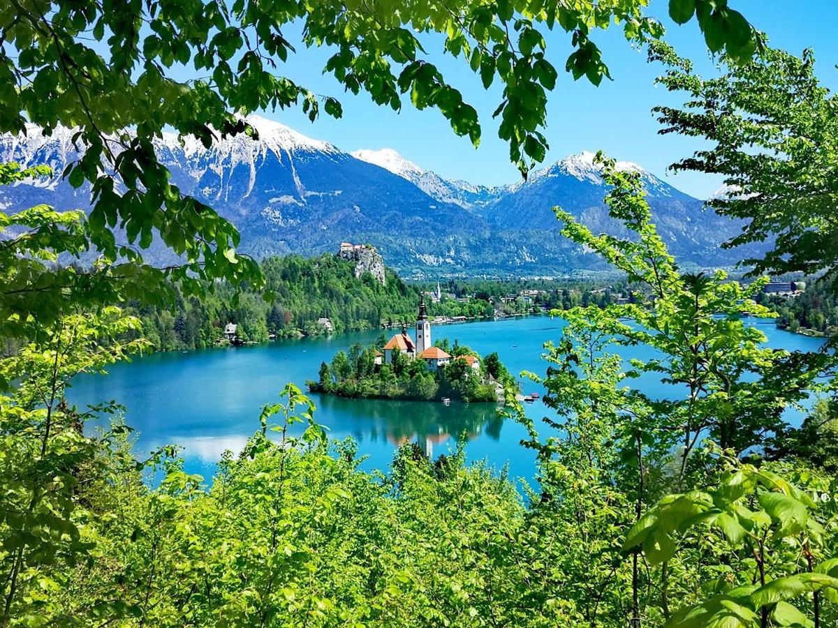Ribno Alpine Hotel Bled Extérieur photo